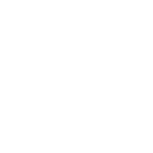 Software